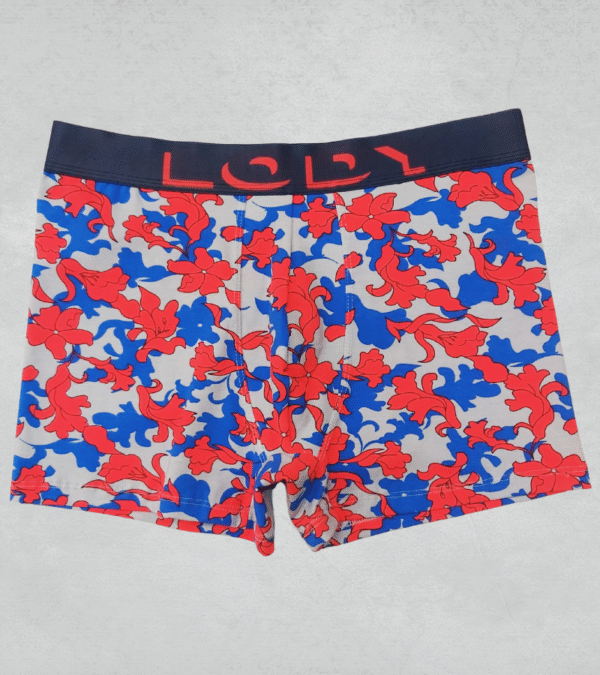 lody954r LODY 954