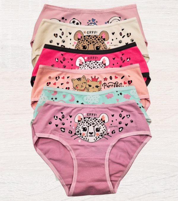 ElementoT3A ELEMENTO 555