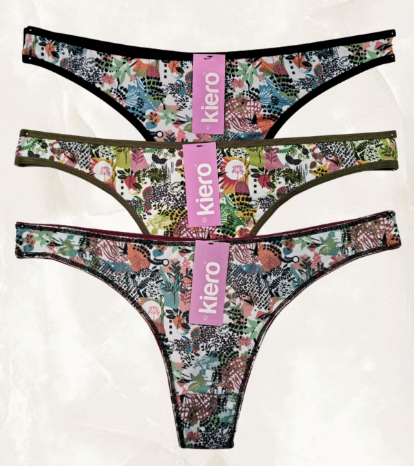 KIERO2491.1 KIERO 2491