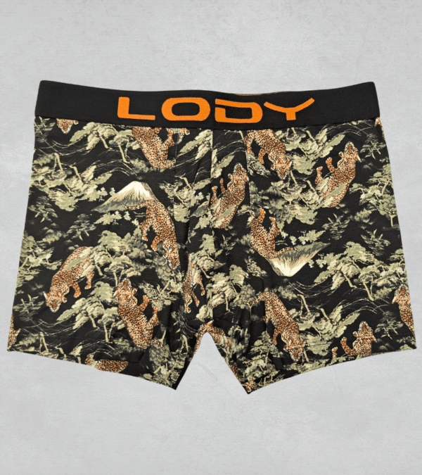 lody957 vd