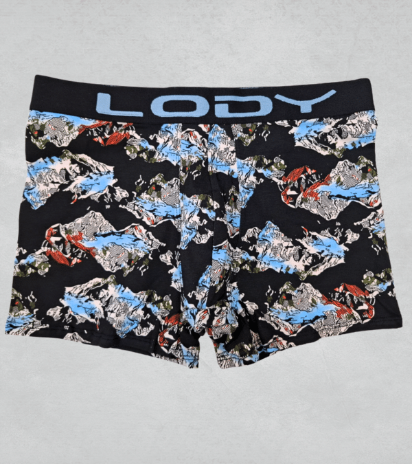 lody960