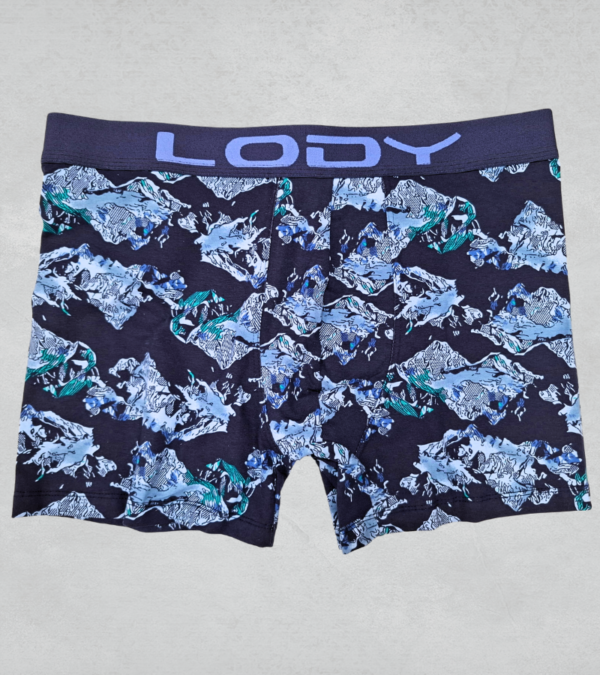 lody960az