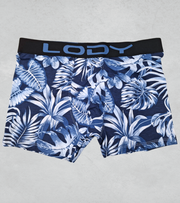 lody976
