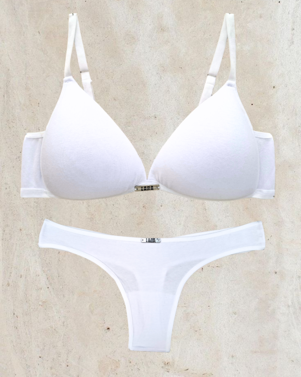 LARA 4650