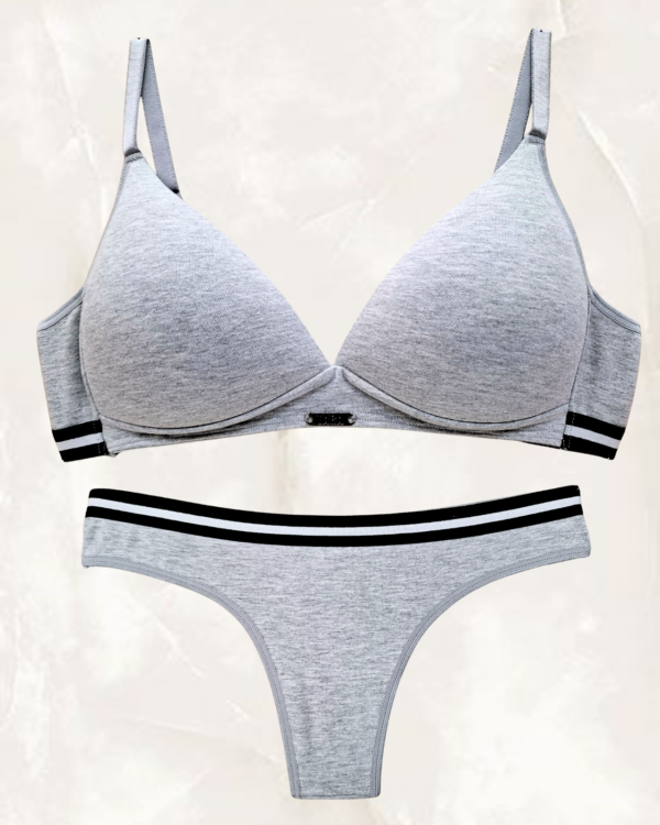 LARA4680gris.png LARA 4680